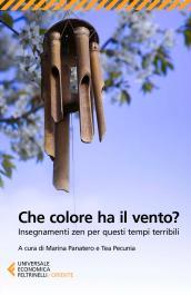 Che colore ha il vento? Insegnamenti zen per questi tempi terribili