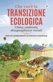 Che cos è la transizione ecologica