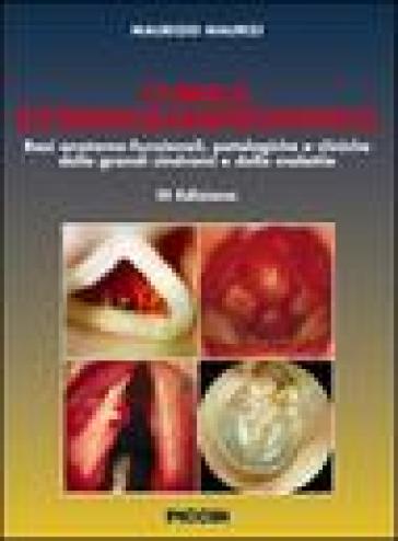 Clinica otorinolaringoiatrica. Basi anatomo-funzionali, patologiche e cliniche delle grandi sindromi e delle malattie - Maurizio Maurizi