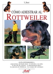 Cómo adiestrar al Rottweiler