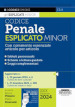 Codice penale esplicato Minor. Con commento essenziale articolo per articolo. Ediz. minor. Con Contenuto digitale per accesso on line: QR Code