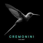 Colibri (7