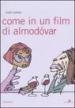 Come in un film di Almodovar