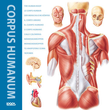 Corpus humanum. Ediz. italiana, inglese, francese, spagnola e tedesca