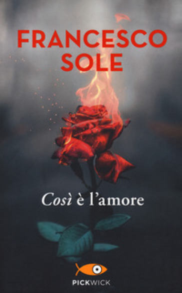 Così è l'amore - Francesco Sole