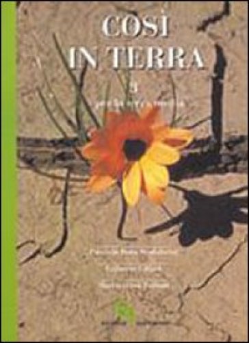 Così in terra. Per la Scuola media. Vol. 3 - Patrizio Rota Scalabrini - Gilberto Gillini - Mariateresa Zattoni Gillini