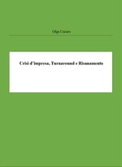 Crisi d impresa, Turnaround e Risanamento