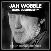 Dark luminosity - the 21st century colle