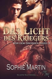 Das Licht des Kriegers