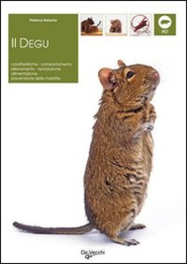 Degu - Florence Desachy