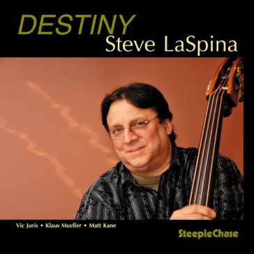 Destiny - STEVE LASPINA