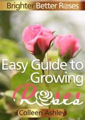 Easy Guide to Growing Roses
