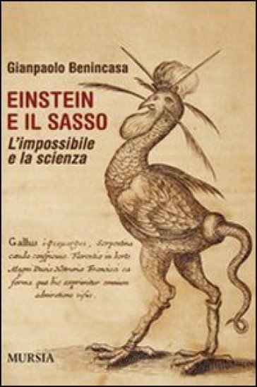 Einstein e il sasso. L'impossibile e la scienza - Gianpaolo Benincasa - Giampaolo Benincasa