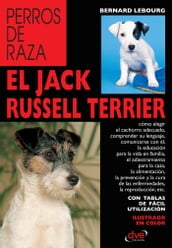 El Jack Russell terrier