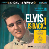 Elvis is back