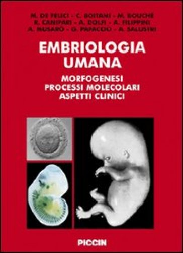 Embriologia umana. Morfogenesi, processi molecolari, aspetti clinici