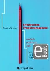 Erfolgreiches Projektmanagement