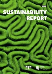 European Investment Bank Group Sustainability Report 2020