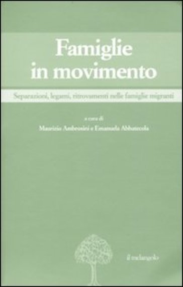 Famiglie in movimento. Separazioni, legami, ritrovamenti nelle famiglie migranti - Maurizio Ambrosini