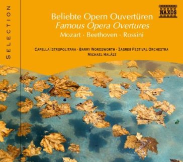 Famous opera overtures - AA.VV. Artisti Vari