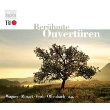 Famous overtures - AA.VV. Artisti Vari