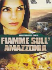 Fiamme Sull Amazzonia