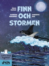 Finn och stormen