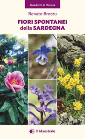 Fiori spontanei della Sardegna. Ediz. illustrata