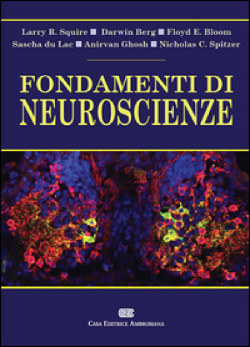 Fondamenti di neuroscienze. Con Contenuto digitale (fornito elettronicamente) - Larry Squire - Darwin Berg - Floyd E. Bloom