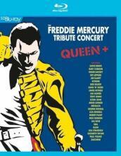 Freddie mercury tribute concert