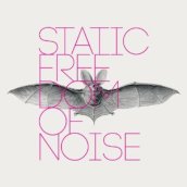 Freedom of noise