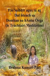 Fás Saibhir agus tú ag Dul isteach sa Domhan na hAoise Órga (le Tráchtairí Meditation)