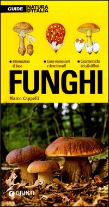 Funghi - Marco Cappelli