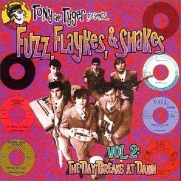 Fuzz flakes & shakes 2 - AA.VV. Artisti Vari