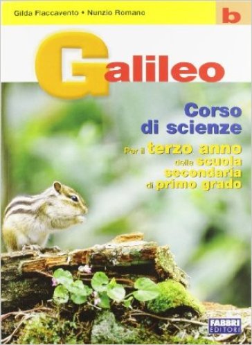 Galileo. Volume B. Per la Scuola media - Gilda Flaccavento Romano - Nunzio Romano