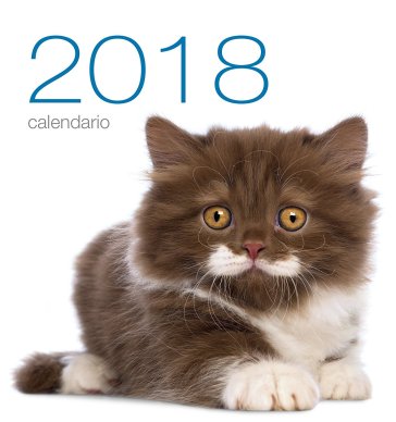 Gatti. Calendario da muro 2018