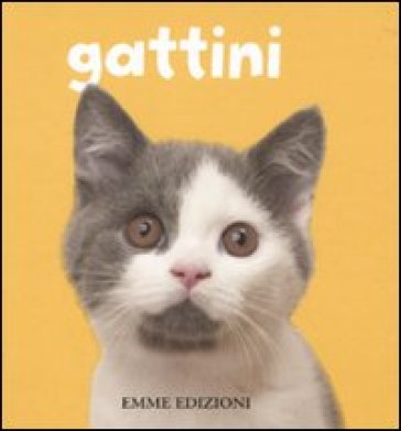 Gattini