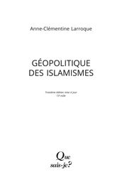 Géopolitique des islamismes