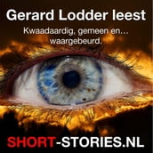 Gerard Lodder leest