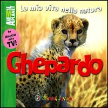 Ghepardo - Meredith Costain