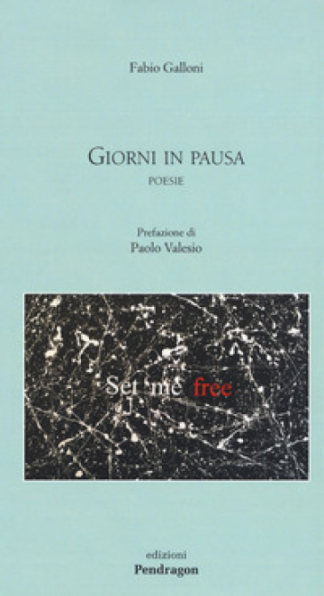 Giorni in pausa - Fabio Galloni