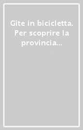 Gite in bicicletta. Per scoprire la provincia di Verona