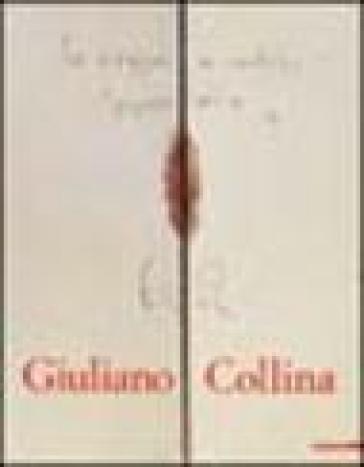 Giuliano Collina. Animi domus. Ediz. italiana e inglese - Martina Corgnati - Giuliano Collina