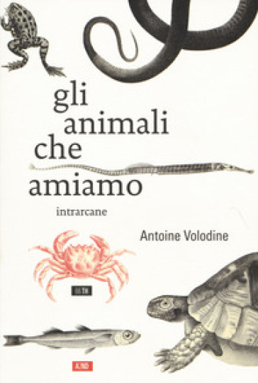 Gli animali che amiamo - Antoine Volodine