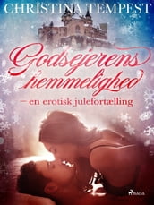 Godsejerens hemmelighed - en erotisk julefortælling