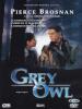 Grey Owl