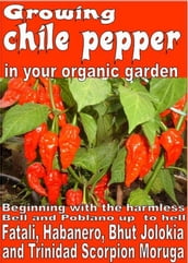 Growing chile pepper in your organic garden