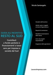 Guida all incentivo Resto al Sud