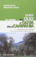 Guida all olio d oliva della Campania