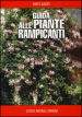 Guida alle piante rampicanti